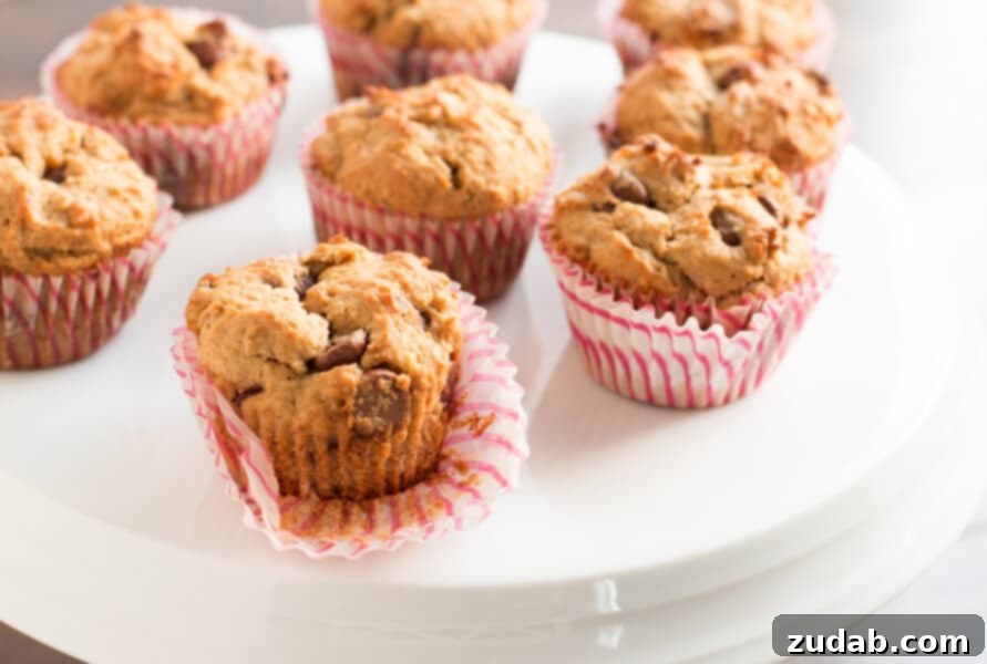 Perfectly Baked Biscoff Banana Muffins Close-up of freshly baked Whole Wheat Biscoff Banana Muffins with Chocolate Chips