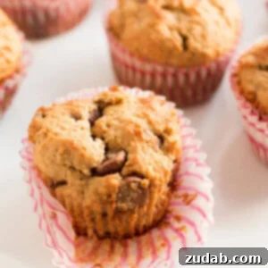 Wholesome Biscoff Banana Muffins 2 Delicious Whole Wheat Biscoff Banana Muffins with Chocolate Chips