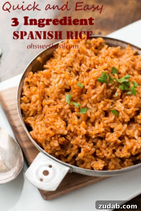 Hızlı ve kolay 3 malzemeli İspanyol pilavı tarifi, yerel Meksika restoranınızdaki lezzeti aratmayacak. ohsweetbasil.com Hızlı ve kolay 3 malzemeli İspanyol pilavı tarifi, yerel Meksika restoranınızdaki lezzeti aratmayacak. ohsweetbasil.com