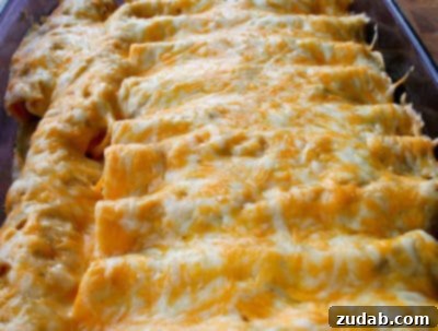 Whip Up 3-Ingredient Spanish Rice Fast 4 Delicious Honey Lime Chicken Enchiladas, a sweet and tangy Mexican dinner idea.