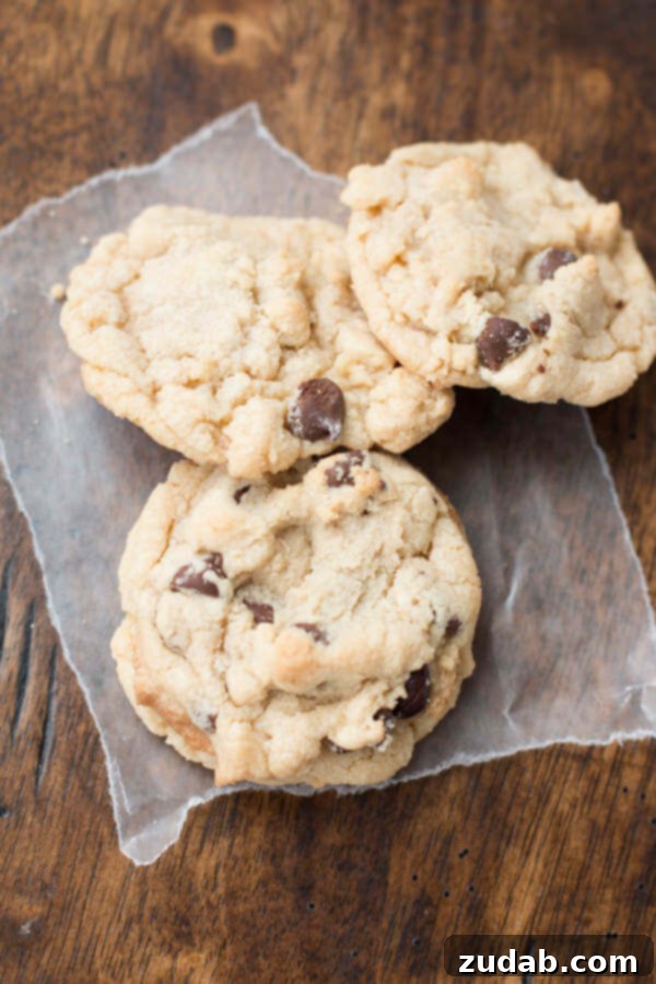 Sometimes an accident in cookie making ends up a winner! Banana cream pie chocolate chip cookies ohsweetbasil.com Sometimes an accident in cookie making ends up a winner! Banana cream pie chocolate chip cookies ohsweetbasil.com