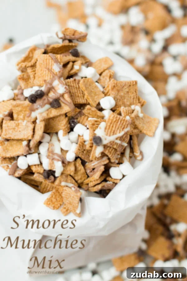 Tropical Kettle Corn 3 S'mores Munchies Snack Mix, a delightful treat from Oh, Sweet Basil