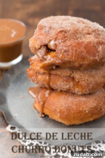 Cinnamon Sugar No Bake Cheesecake 6 these dulce de leche churro donuts were a huge hit with our family. Like, HUGE! ohsweetbasil.com