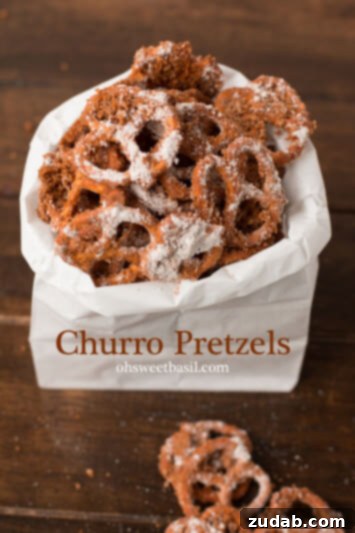 I can't stop eating these!!! Best Churro Pretzels ever! ohsweetbasil.com