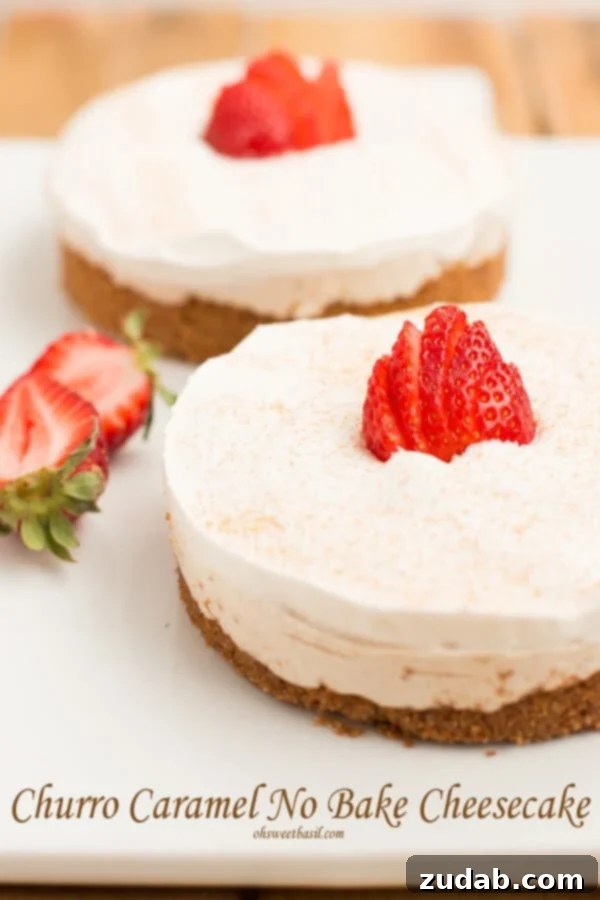 The creamiest no bake churro cheesecakes! plus it has yogurt it in! ohsweetbasil.com The creamiest no bake churro cheesecakes! plus it has yogurt it in! ohsweetbasil.com