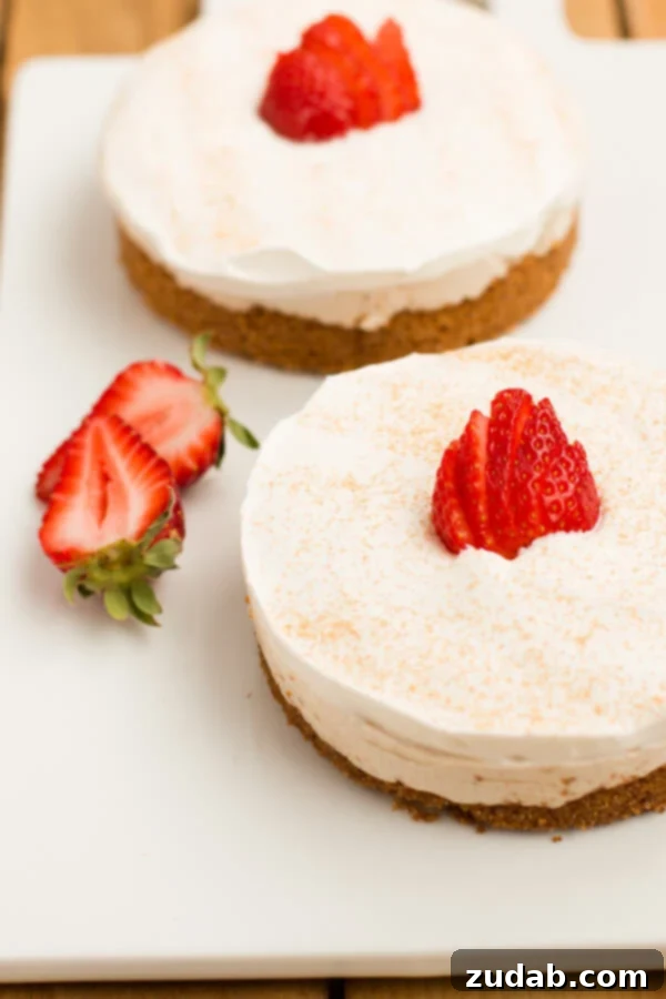 The creamiest no bake churro cheesecakes! plus it has yogurt it in! ohsweetbasil.com The creamiest no bake churro cheesecakes! plus it has yogurt it in! ohsweetbasil.com
