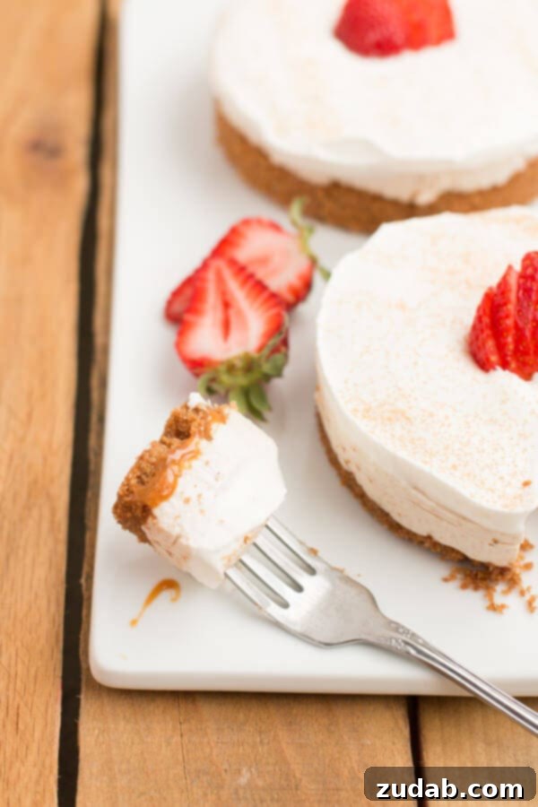 The creamiest no bake churro cheesecakes! plus it has yogurt it in! ohsweetbasil.com The creamiest no bake churro cheesecakes! plus it has yogurt it in! ohsweetbasil.com