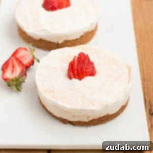 Cinnamon Sugar No Bake Cheesecake 2 The creamiest no bake churro style cheesecakes! ohsweetbasil.com
