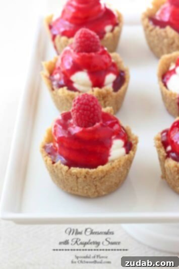 Cinnamon Sugar No Bake Cheesecake 4 Mini Cheesecakes with Raspberry Sauce for Oh Sweet Basil