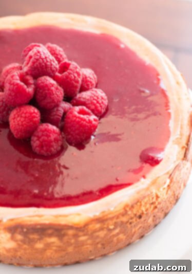 Cinnamon Sugar No Bake Cheesecake 5 Greek Yogurt New York Cheesecake with brown sugar berry sauce on ohsweetbasil.com