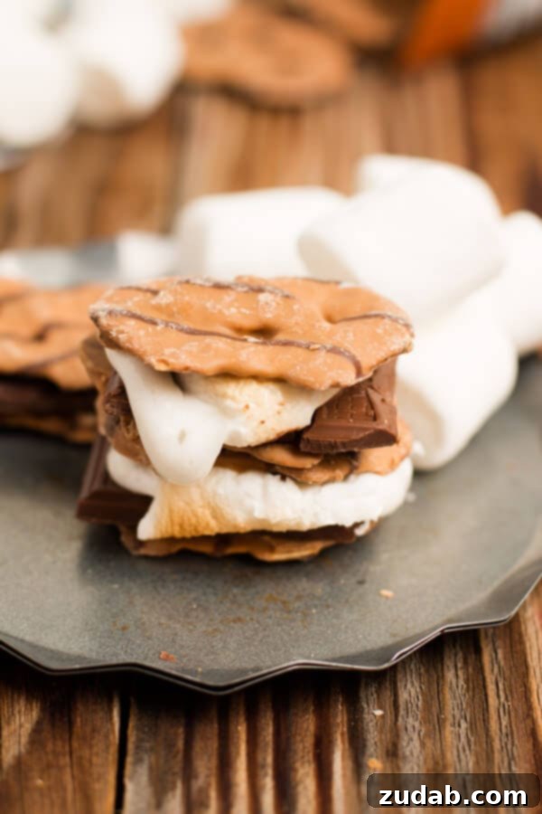 How to Make Peanut Butter Pretzel S'mores on a Grill Roasting Marshmallows for the Best Peanut Butter Pretzel Crisps S'mores