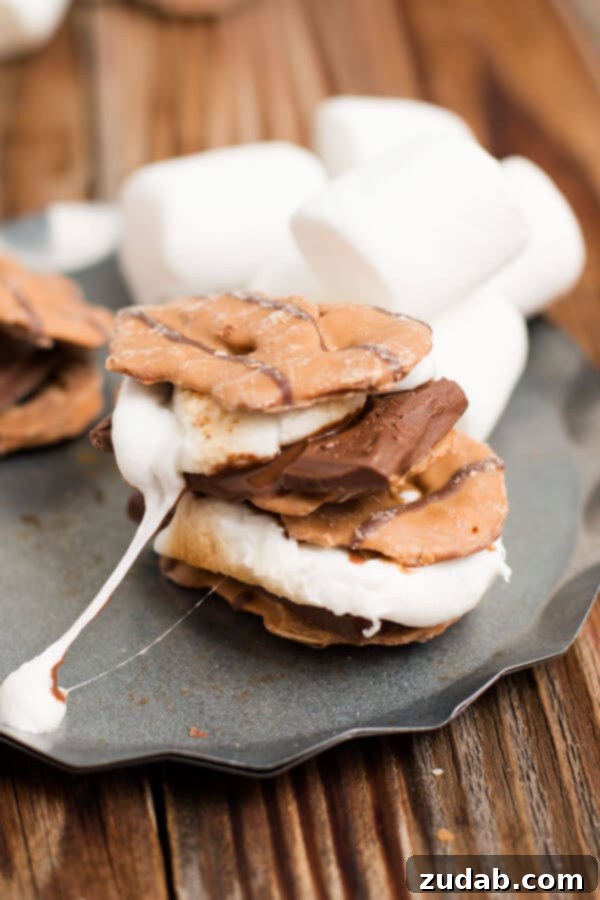 The Best S'mores Recipe: Peanut Butter Pretzel Crisps Edition Delicious Peanut Butter Pretzel Crisps S'mores - Close-up View