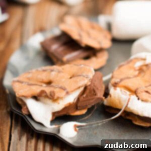 Sweet and Salty Peanut Butter Pretzel Crisps Smores 2 The BEST s'more I've ever had. Peanut butter pretzel crisps instead of grahams! ohsweetbasil.com