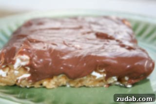 Sweet and Salty Peanut Butter Pretzel Crisps Smores 4 Gooey Peanut Butter S'mores Rice Krispies: Easy and Delicious Treats