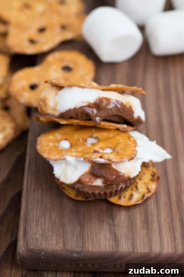 Pretzel Reese's S'mores: The Ultimate Salty-Sweet Campfire Dessert Pretzel Reese's S'mores: A delightful combination of salty pretzels, sweet chocolate, and gooey marshmallow, perfect for campfire treats.