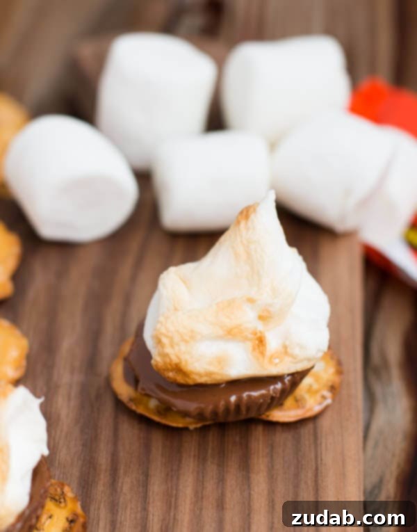 Salty Sweet S'mores with Pretzel Crisps and Reese's Peanut Butter Gathering ingredients for the ultimate Pretzel Reese's S'mores, featuring crunchy pretzel crisps and rich peanut butter cups.