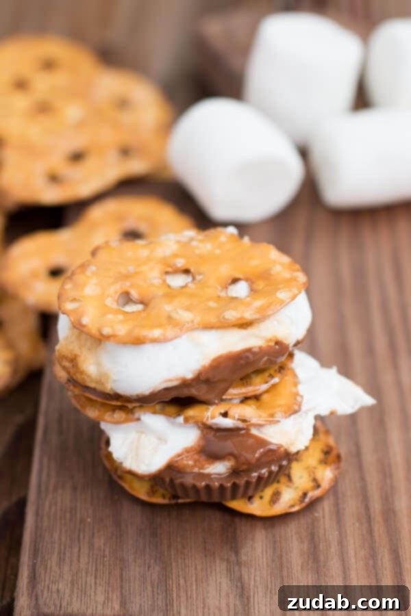 The Perfect Campfire Dessert: Pretzel Reese's S'more Recipe Enjoying a homemade Pretzel Reese's S'more, showcasing the irresistible layers of melted chocolate, toasted marshmallow, and crisp pretzels.