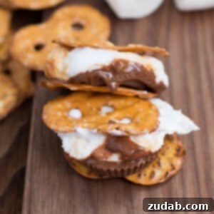 Pretzel Reeses Smore Dream 2 A tempting Pretzel Reese's S'more, highlighting the blend of flavors and textures.