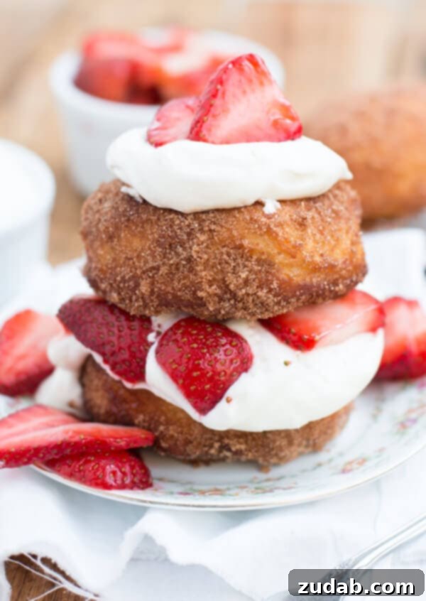 The most delicious dessert I've ever had, deep fried strawberry shortcakes that are rolled in cinnamon sugar and loaded with berries and fresh whipped cream The most delicious dessert I've ever had, deep fried strawberry shortcakes that are rolled in cinnamon sugar and loaded with berries and fresh whipped cream