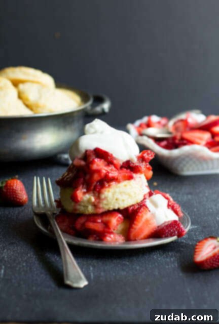 Tender shortcakes with a burst of lemon flavor, ripe strawberries and fresh whipped cream Tender shortcakes with a burst of lemon flavor, ripe strawberries and fresh whipped cream ohsweetbasil.com_-5
