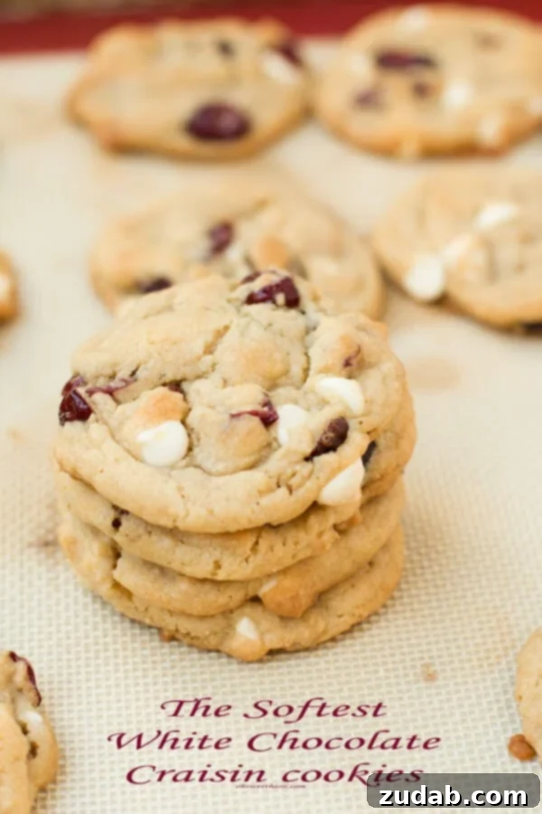 Irresistible White Chocolate Cranberry Cookies 2 the softest white chocolate craisin cookies ever! ohsweetbasil.com