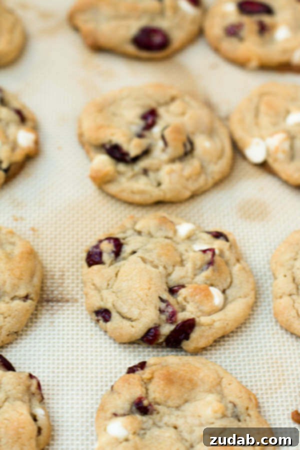 Irresistible White Chocolate Cranberry Cookies 3 the softest white chocolate craisin cookies ever! ohsweetbasil.com