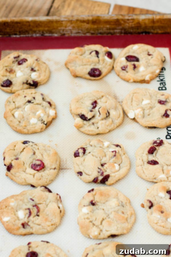 Irresistible White Chocolate Cranberry Cookies 4 the softest white chocolate craisin cookies ever! ohsweetbasil.com