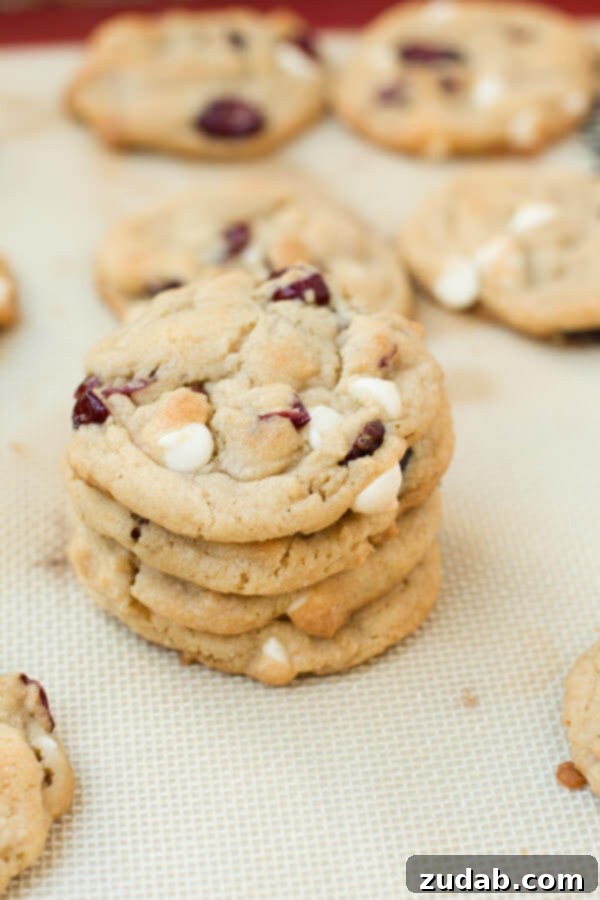 Irresistible White Chocolate Cranberry Cookies 5 the softest white chocolate craisin cookies ever! ohsweetbasil.com