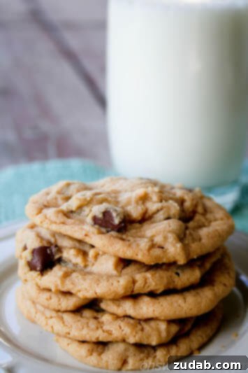 Irresistible White Chocolate Cranberry Cookies 6 peanut butter chocolate chip cookies