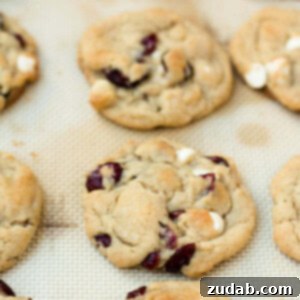 Irresistible White Chocolate Cranberry Cookies 8 soft white chocolate cranberry cookies ohsweetbasil.com
