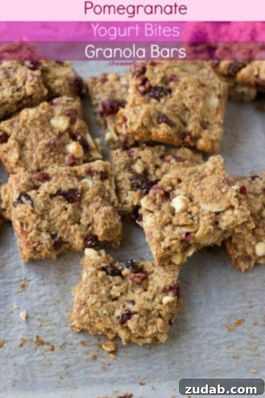 Honey Oat Crunch Bars 3 Pomegranate yogurt bites hidden in healthy granola bars loaded with applesauce, craisins, wheat germ etc. Perfect for back to school.