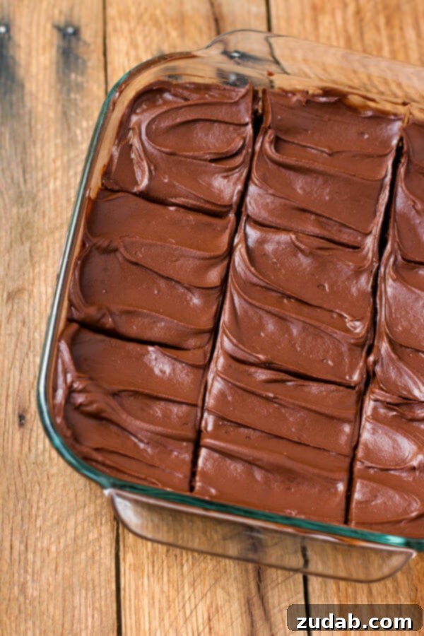 Chocolate lovers fudge brownies that are made in a blender! ohsweetbasil.com