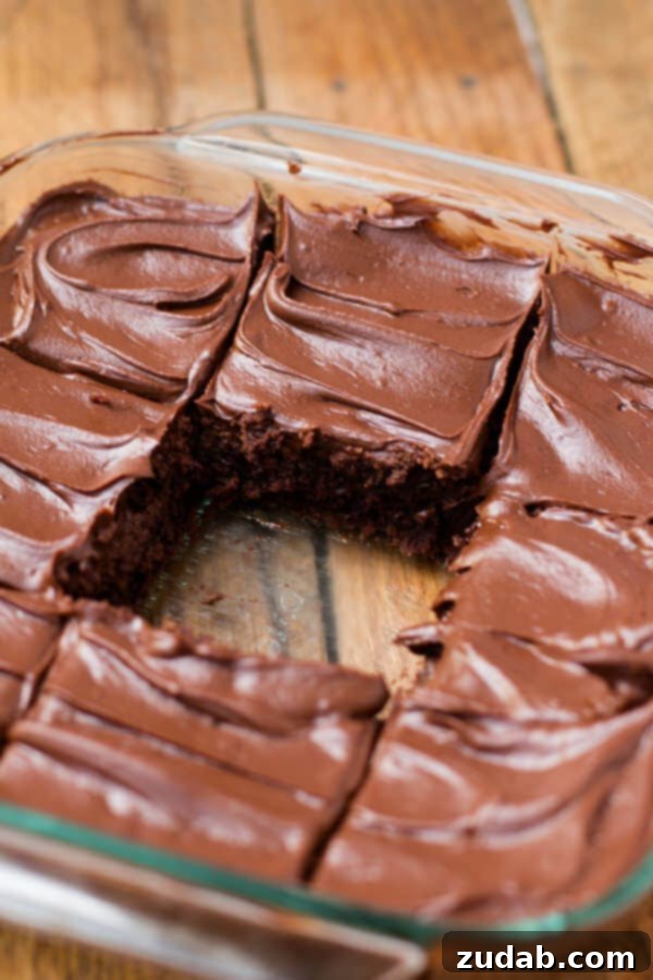 Chocolate lovers fudge brownies that are made in a blender! ohsweetbasil.com