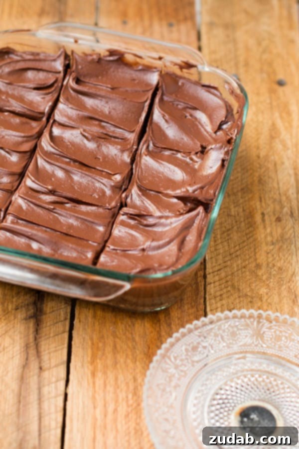 Chocolate lovers fudge brownies that are made in a blender! ohsweetbasil.com