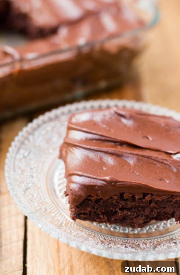 Chocolate lovers fudge brownies that are made in a blender! ohsweetbasil.com