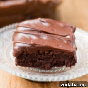 fudge brownies made in the blender! ohsweetbasil.com