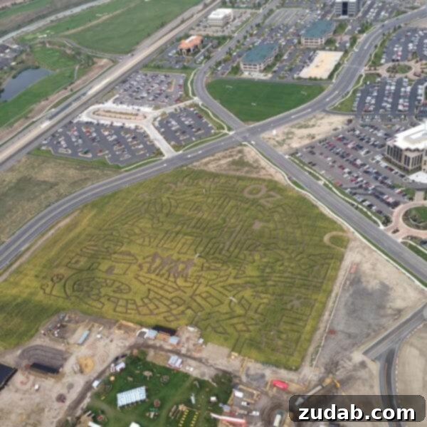 Warm Apple Pie Bombs Served A La Mode 6 An intricate corn maze design at Cornbelly's, showcasing its expansive and fun layout. ohsweetbasil.com