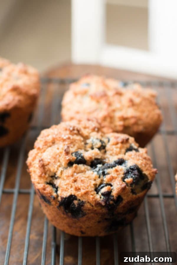 Close-up of fluffy whole wheat blueberry muffins, highlighting their tender crumb and fresh blueberries. Made with oat flour and no eggs for a wholesome treat. OhSweetBasil.com recipe.