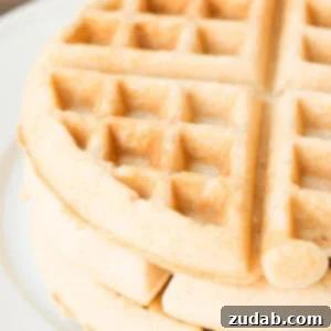 Crispy Coconut Waffle Wonders 2 Delicious Coconut Oil Waffles, golden brown and fluffy, perfect for a quick and elevated breakfast.