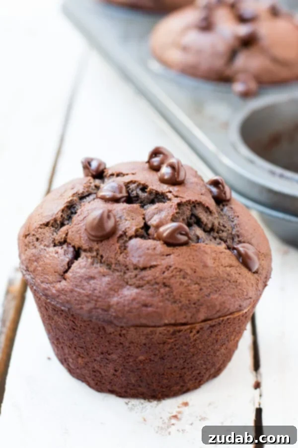 Irresistible Double Chocolate Banana Muffins Close-Up A perfectly golden-brown double chocolate banana muffin, broken open to reveal its moist, tender crumb and pockets of melted chocolate chips.
