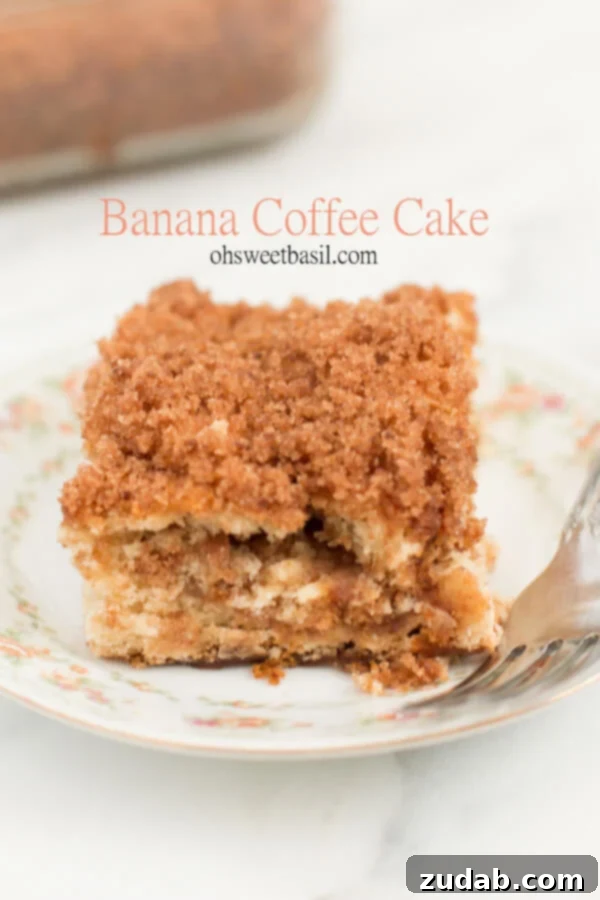 Effortless Chocolate Banana Delight 5 3 ingredients and you've got yourself banana coffee cake! ohsweetbasil.com