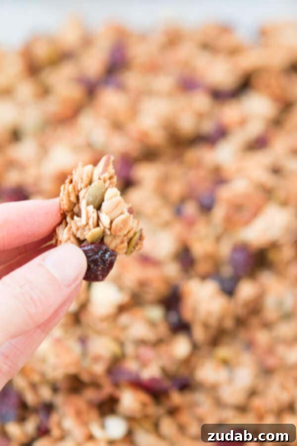 Fresh Ingredients for Strawberry Almond Granola Close-up of strawberry craisins, sliced almonds, and rolled oats, key ingredients for homemade granola.