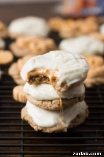 Autumn Spice Pumpkin Cupcakes Crowned with Nutella Frosting 4 Soft and chewy Pumpkin Spice Marshmallow Cookies with Cream Cheese Frosting