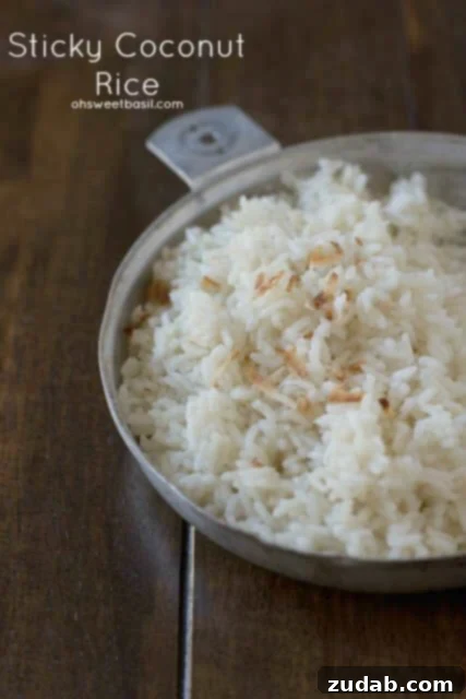 Creamy Cheesy Black Beans and Rice 6 Sweet and sticky coconut rice that's perfect with any meal ohsweetbasil.com_-3