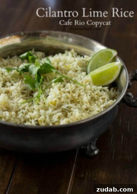 Creamy Cheesy Black Beans and Rice 7 Cilantro Lime Rice cafe rio copycat recipe ohsweetbasil.com_