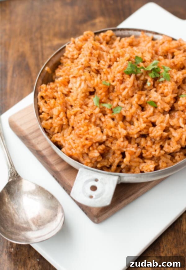 Creamy Cheesy Black Beans and Rice 5 quick and easy spanish rice ohsweetbasil.com