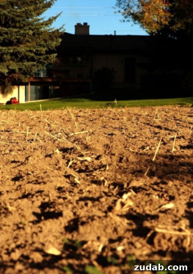 Fall Garden Checklist: 5 Steps to a Flourishing Spring Garden Crucial steps for fall garden preparation, including tilling soil, deep watering, and applying leaf mulch. Maximize your garden's potential for next season.