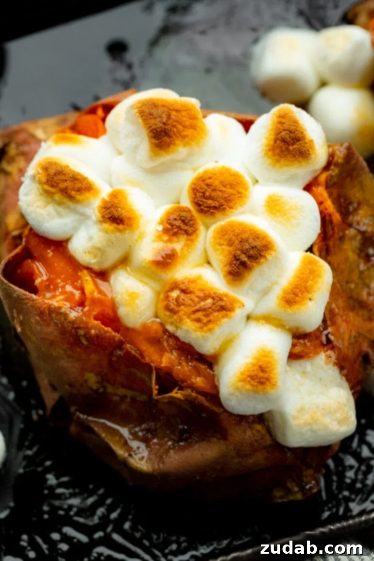 The Ultimate Homemade Texas Roadhouse Loaded Sweet Potato 6 An overhead shot of a baked sweet potato topped with perfectly toasted mini marshmallows, glistening with sauce.