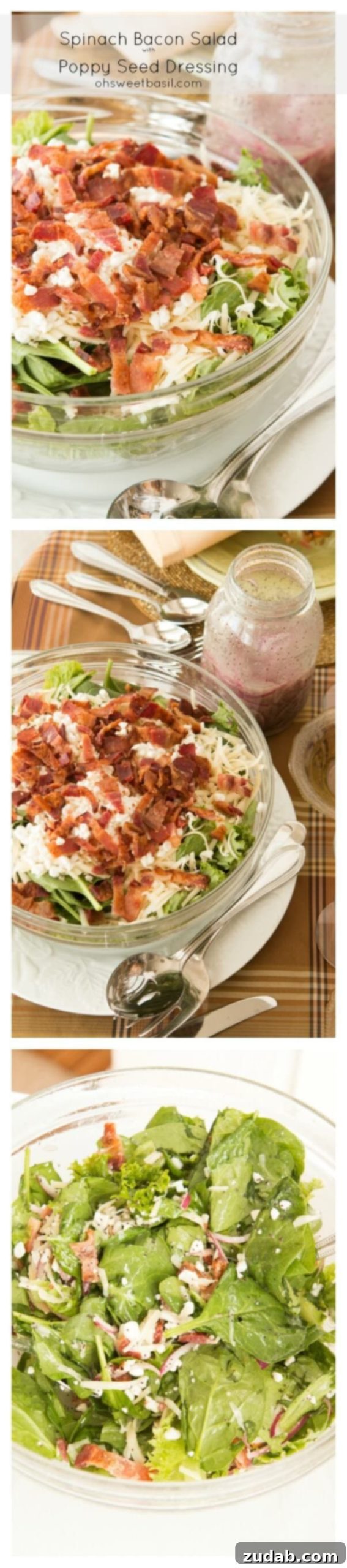Poppy Seed Dressed Bacon & Spinach Salad 2 A close-up of the fresh spinach and green leaf lettuce base, showcasing its vibrant green color and crisp texture before toppings are added.