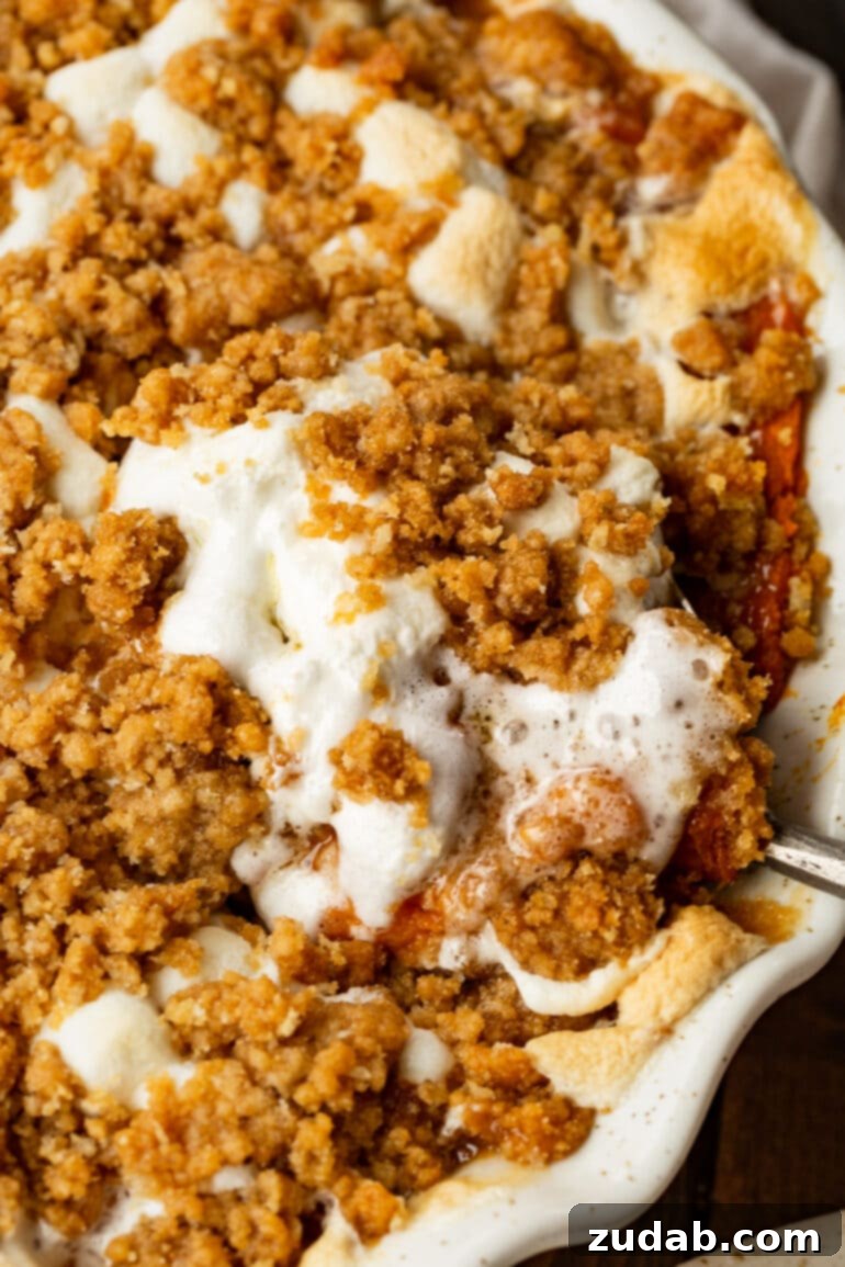 Golden Sweet Potato Marshmallow Dream 8 A golden-brown sweet potato casserole fills a rectangular baking dish, topped with a luscious layer of perfectly melted marshmallows and a generous crumble of brown sugar streusel. The dish is freshly baked, ready to be served as a delightful holiday accompaniment.